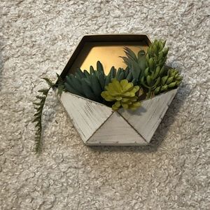 plant holder for wall